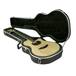 SKB - Valise Rigide pour Guitare - Guitare Acoustique-Électrique/Classique Mince