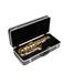 SKB - Valise Rectangulaire pour Saxophone Alto