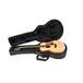SKB - Étui Souple - Guitare Acoustique Taylor GS Mini
