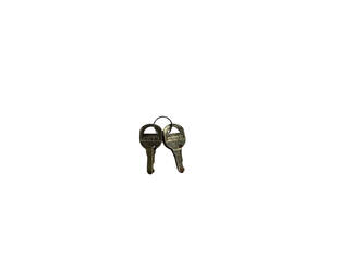 SKB - Accessoires - Clé de loquet TSA